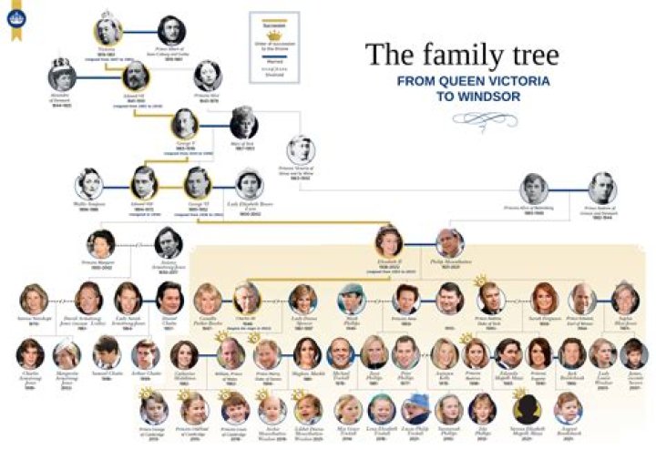 Philippe de Gaulle : Family tree by frebault