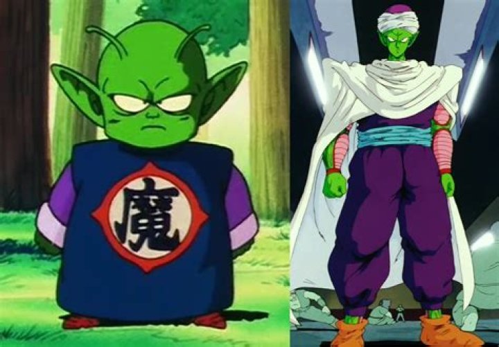 Understanding The Piccolo Junior: A Comprehensive Guide